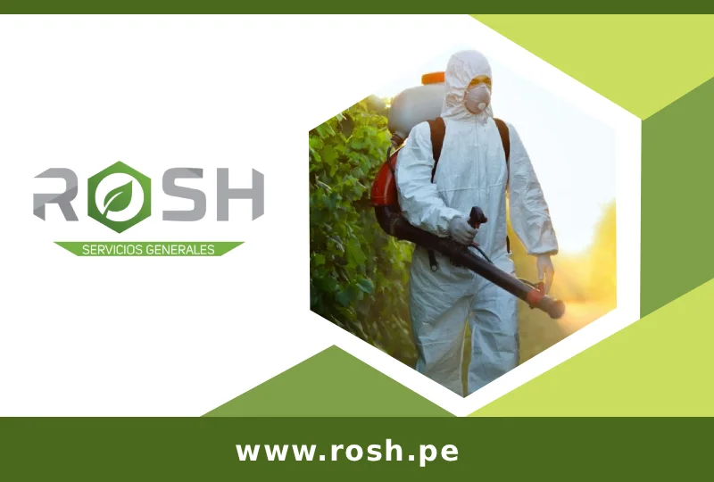 imgi_16_rosh